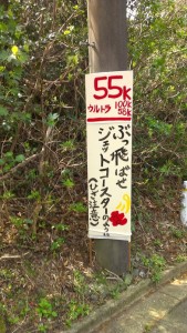 ５５ｋｍ